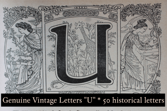 Unlocking History: The Genuine Vintage 2200 Letters PACK